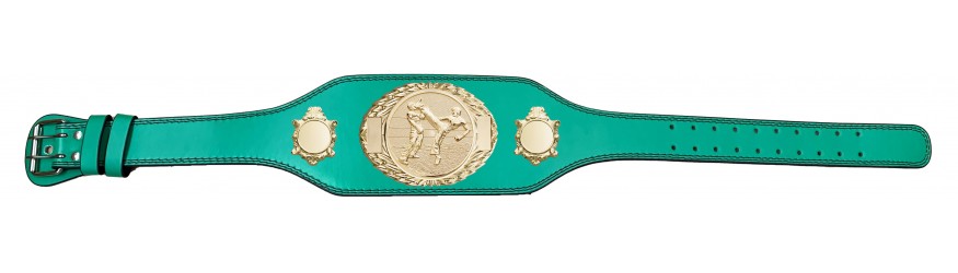 KICKBOXING CHAMPIONSHIP TITLE BELT BUD295/G/KBOG - 4 COLOURS